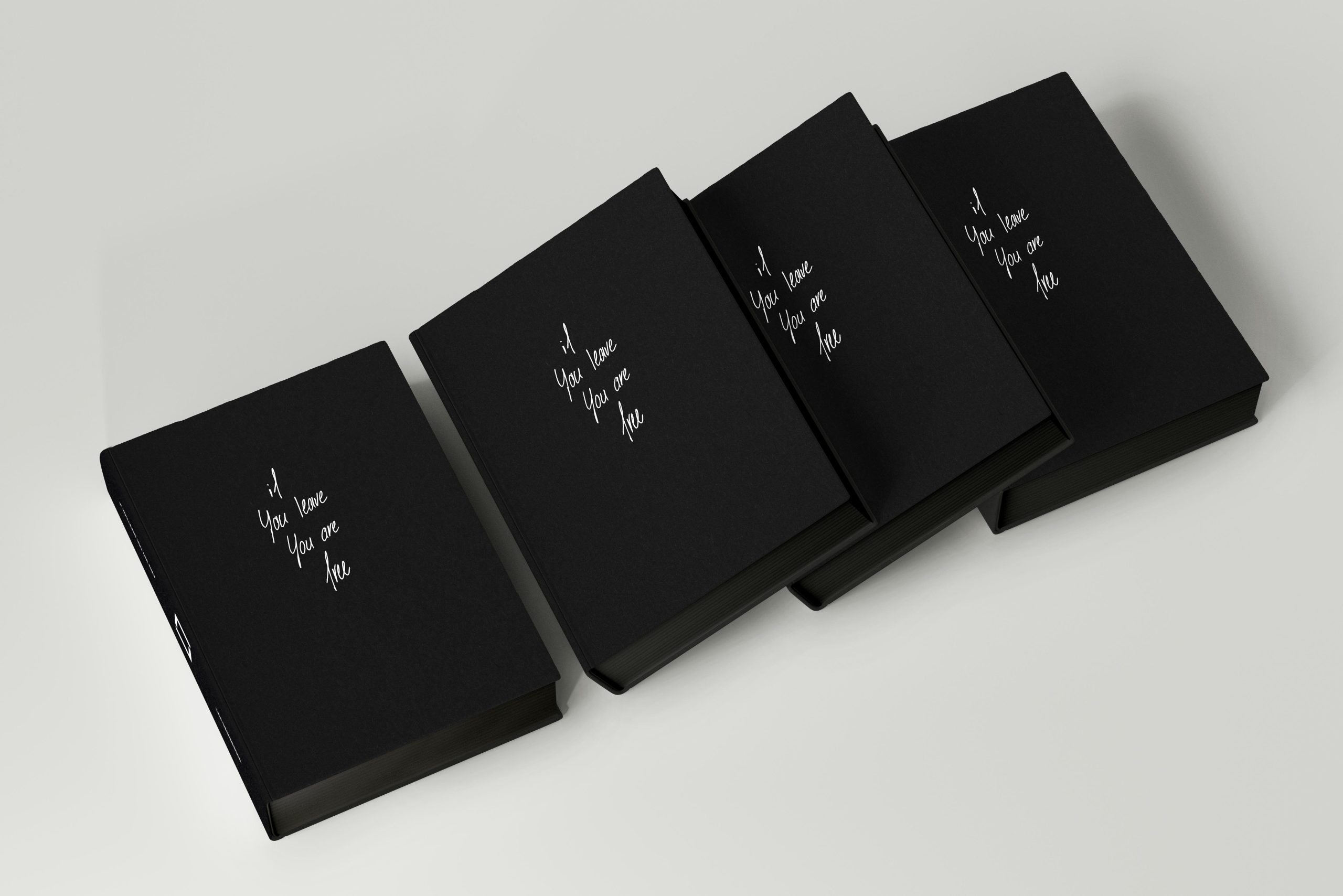 LIO_Portfolio_Book_If-you-are-leave